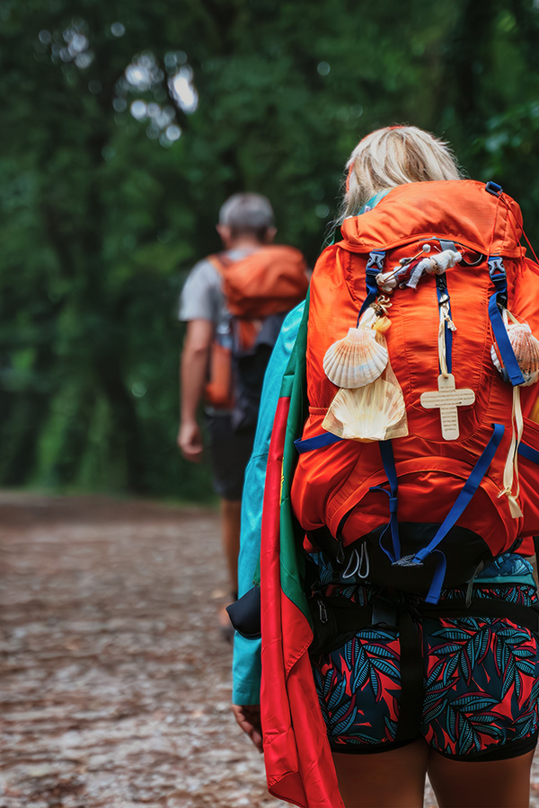 Camino Francés desde Sarria