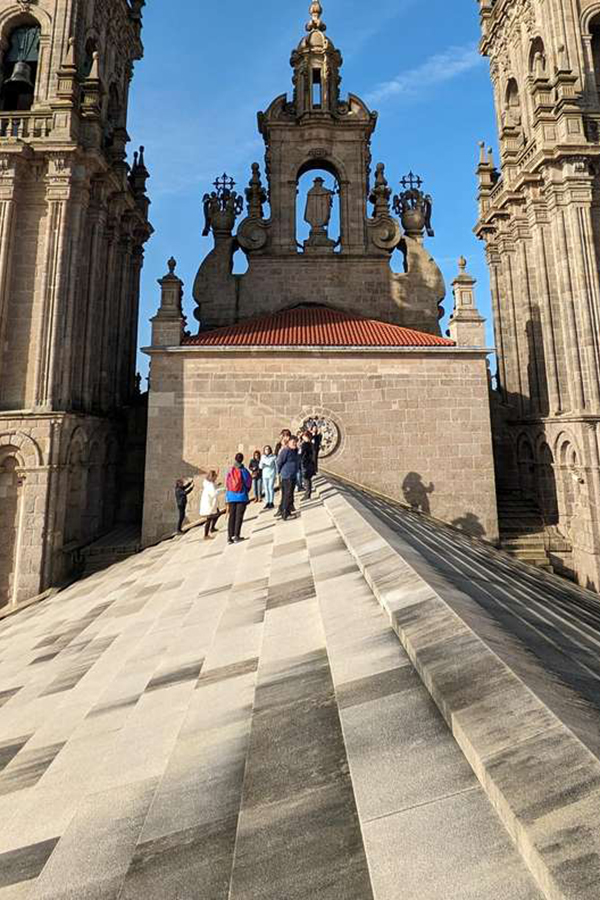 Tejados de la Catedral