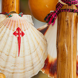 shutterstock_2106819575