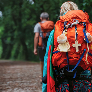 shutterstock_2321687513(2)